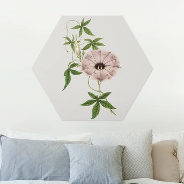 Hexagon Bild Forex - Florale Schmuckstücke IV