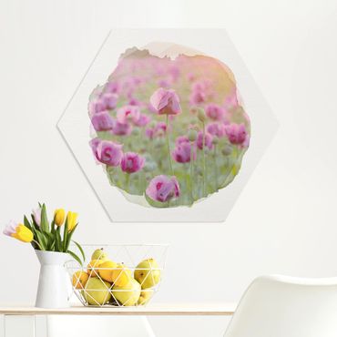 Hexagon Bild Forex - Wasserfarben - Violette Schlafmohn Blumenwiese im Frühling