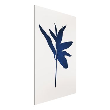 Aluminium Print - Grafische Pflanzenwelt - Blau - Hochformat 3:2