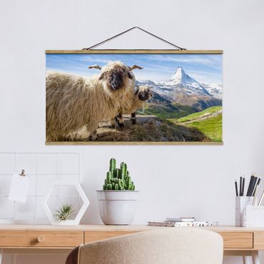 Stoffbild mit Posterleisten - Schwarznasenschafe von Zermatt - Querformat 2:1