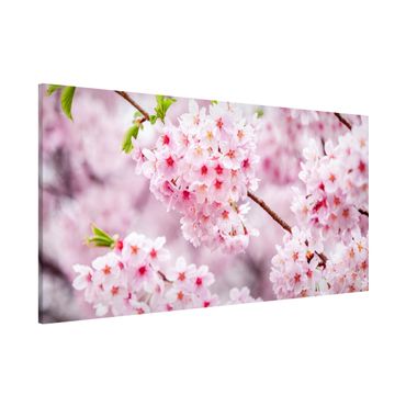 Magnettafel - Japanische Kirschblüten - Panorama Querformat