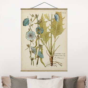 Stoffbild mit Posterleisten - Vintage Botanik in Blau Wegwarte - Hochformat 3:4