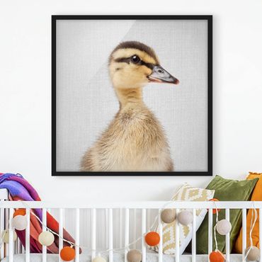 Bild mit Rahmen - Baby Ente Eddie - Quadrat - 1:1