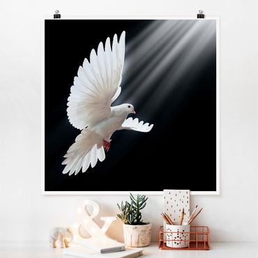 Poster - Holy Dove - Quadrat 1:1