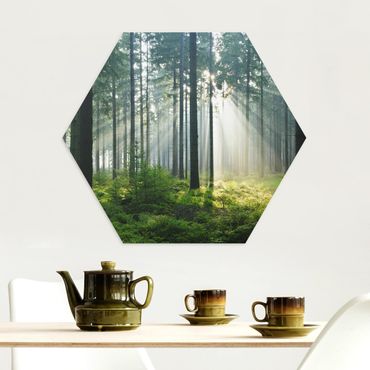 Hexagon Bild Alu-Dibond - Enlightened Forest