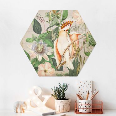 Hexagon-Forexbild - Colonial Style Collage - Rosa Kakadu