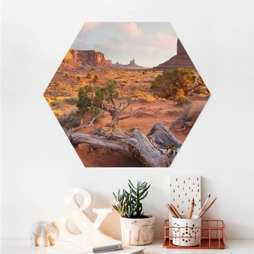 Hexagon Bild Alu-Dibond - Monument Valley Navajo Tribal Park Arizona