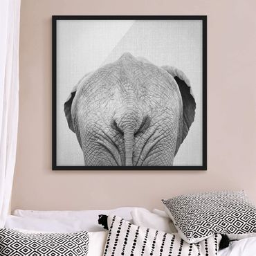 Bild mit Rahmen - Elefant von hinten Schwarz Weiß - Quadrat - 1:1