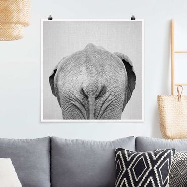 Poster - Elefant von hinten Schwarz Weiß - Quadrat 1:1