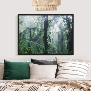 Bild mit Rahmen - Monteverde Nebelwald - Querformat 4:3
