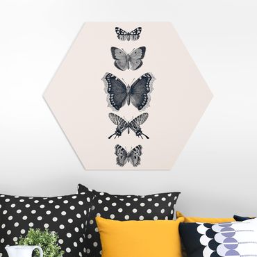 Hexagon Bild Forex - Tusche Schmetterlinge auf Beige