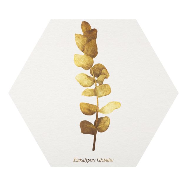 Hexagon Bild Forex - Gold - Eukalyptus