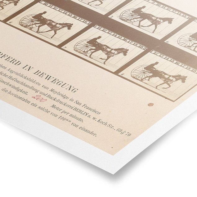 Poster - Eadweard Muybridge - Das Pferd in Bewegung - Querformat 3:4