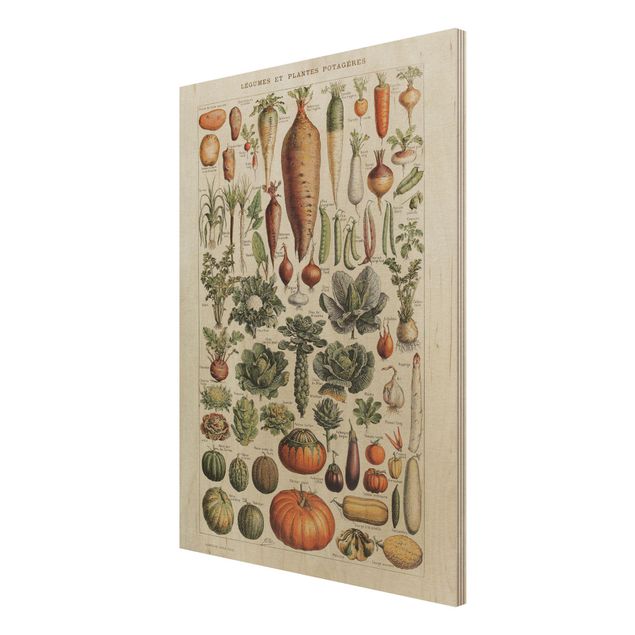 Holzbild - Vintage Lehrtafel Gemüse - Hochformat 4:3
