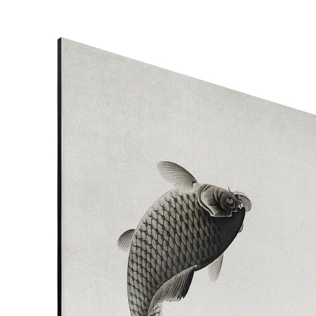Aluminium Print gebürstet - Vintage Illustration Asiatische Fische III - Hochformat 2:1