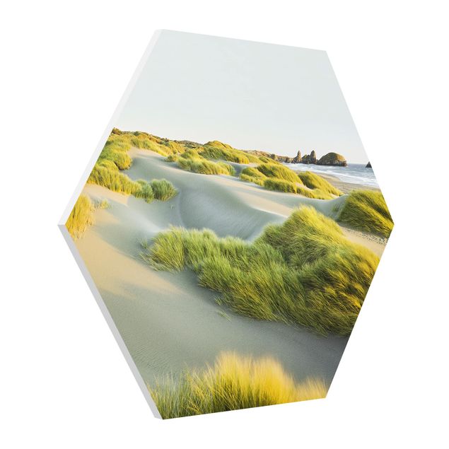 Hexagon Bild Forex - Dünen und Gräser am Meer
