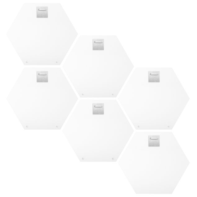 Hexagon Bild Forex 6-teilig - Buchstaben FAMILY Weiß Set II
