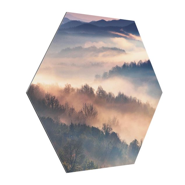 Hexagon Bild Alu-Dibond - Nebel bei Sonnenuntergang