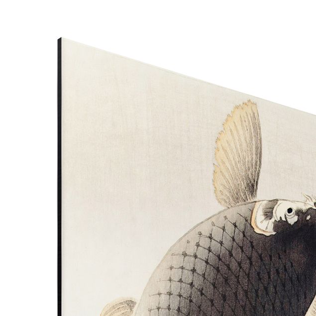 Aluminium Print gebürstet - Vintage Illustration Asiatische Fische II - Hochformat 2:1