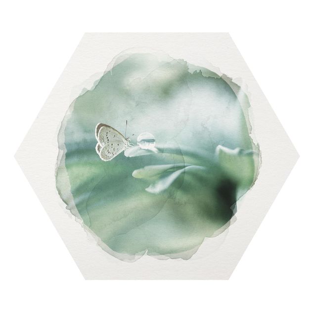 Hexagon Bild Forex - Wasserfarben - Schmetterling und Tautropfen in Pastellgrün