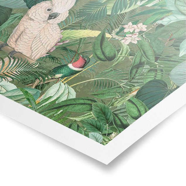 Poster - Vintage Collage - Kakadu und Kolibri - Querformat 3:4