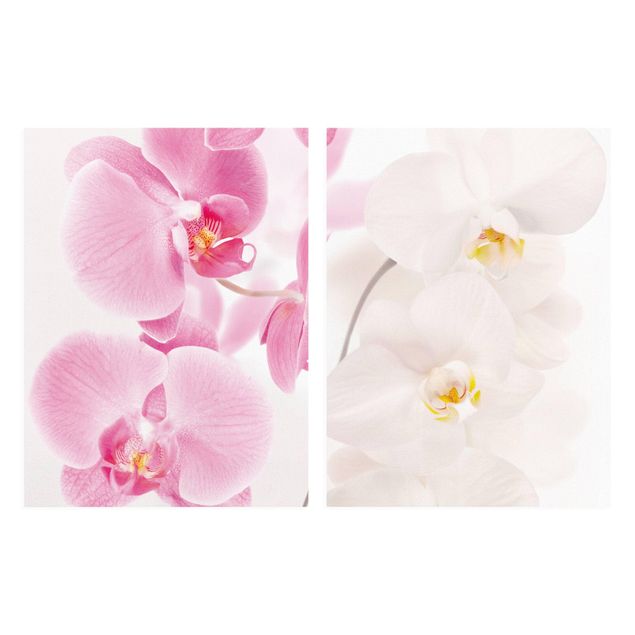 Leinwandbild 2-teilig - Delicate Orchids - Hoch 3:4