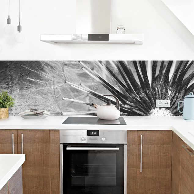 Küchenrückwand - Pusteblume Schwarz & Weiß