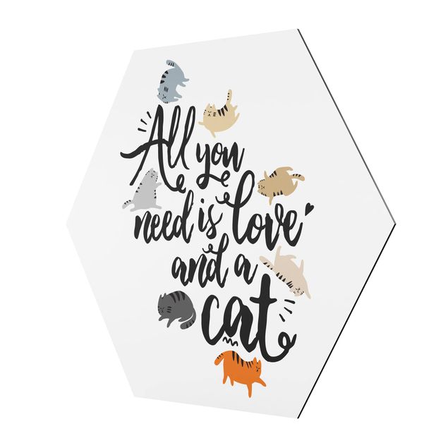 Hexagon Bild Alu-Dibond - All you need is love and a cat