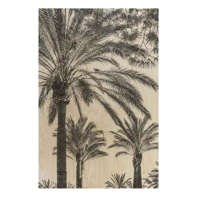 Holzbild - Palmen im Sonnenuntergang Schwarz-Weiß - Hochformat 3:2