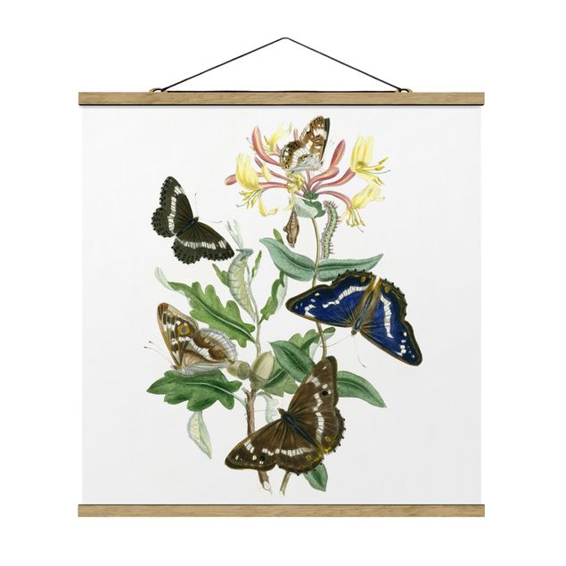 Stoffbild mit Posterleisten - Britische Schmetterlinge IV - Quadrat 1:1