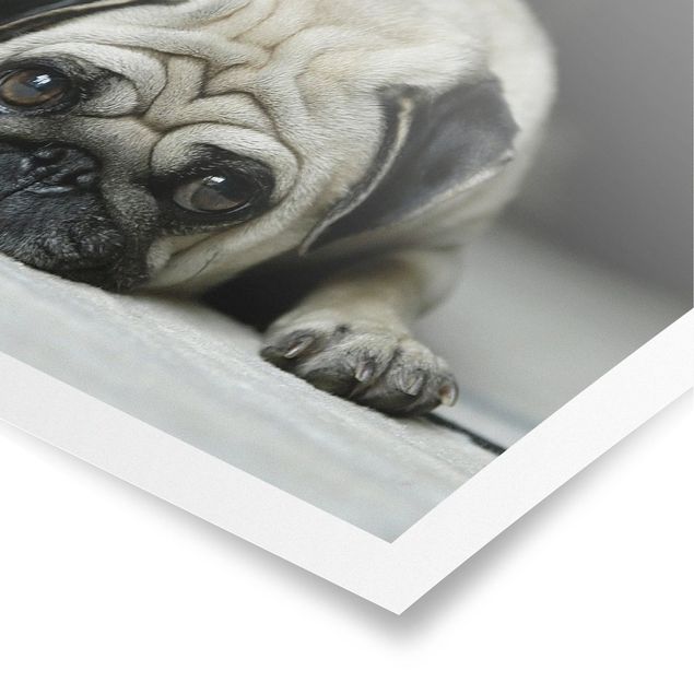 Poster - Pug Loves You - Querformat 2:3
