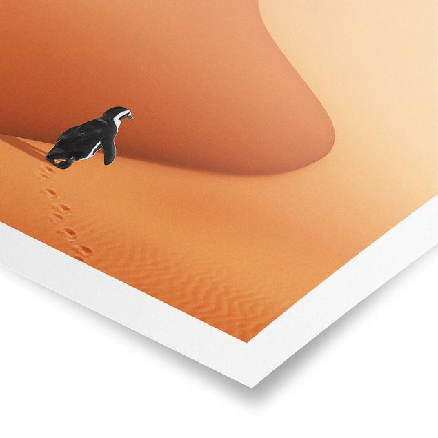 Poster - Jonas Loose - Wüste mit Pinguin - Hochformat 3:2