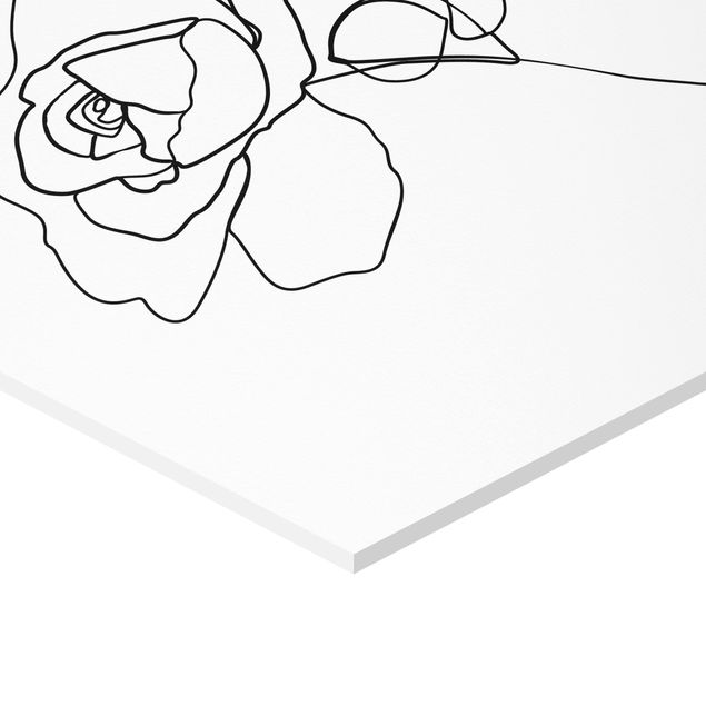 Hexagon Bild Forex - Line Art Rose Schwarz Weiß