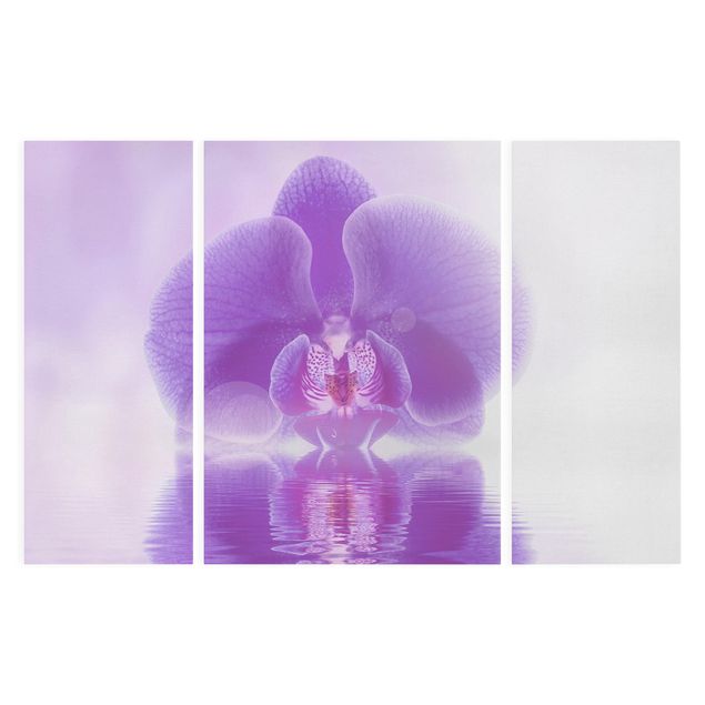 Leinwandbild 3-teilig - Lila Orchidee auf Wasser - Triptychon