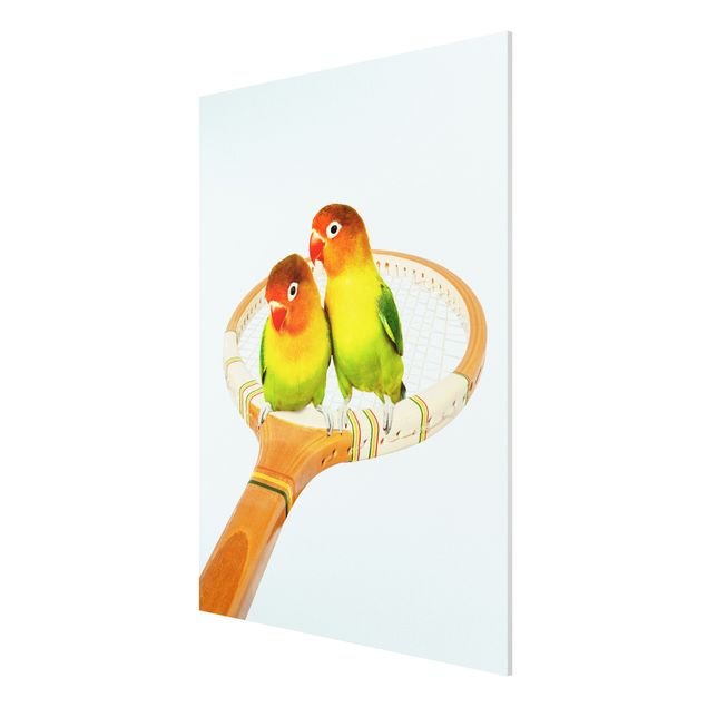 Forex Fine Art Print - Jonas Loose - Tennis mit Vögeln - Hochformat 4:3