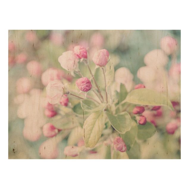 Holzbild - Apfelblüte Bokeh rosa - Querformat 3:4