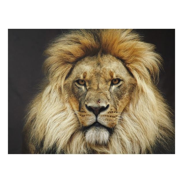 Alu-Dibond Bild - Wisdom of Lion