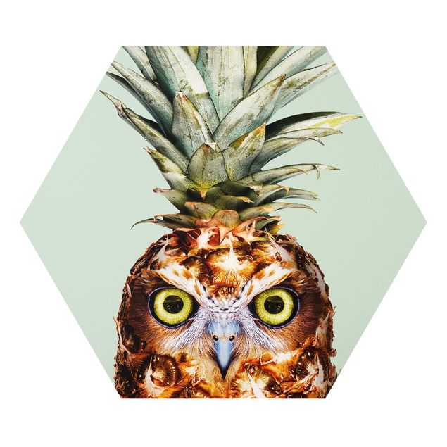 Hexagon Bild Forex - Jonas Loose - Ananas mit Eule