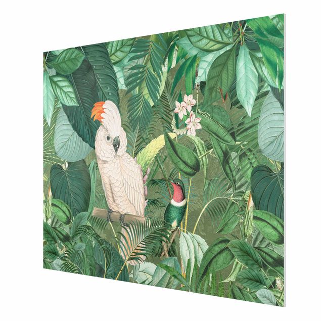Forex Fine Art Print - Vintage Collage - Kakadu und Kolibri - Querformat 3:4