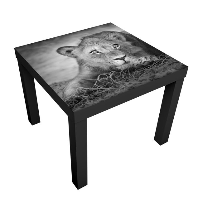 Möbelfolie für IKEA Lack - Klebefolie Lurking Lionbaby