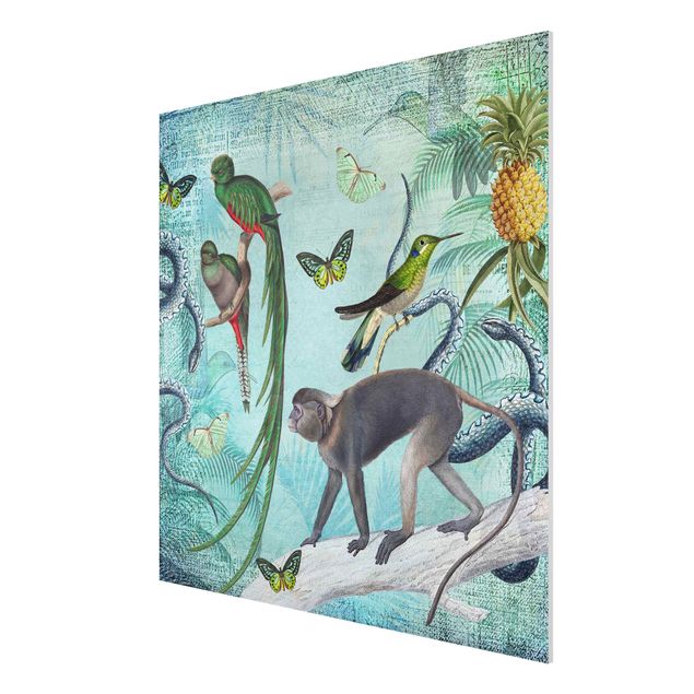 Forex Fine Art Print - Colonial Style Collage - Äffchen und Paradiesvögel - Quadrat 1:1