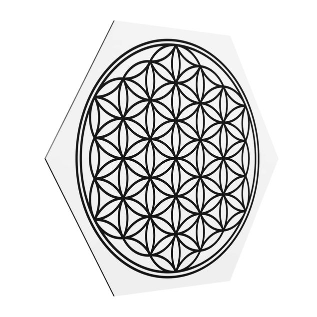 Hexagon Bild Alu-Dibond - Blume des Lebens