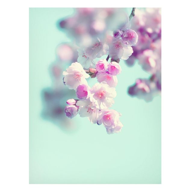 Magnettafel - Farbenfrohe Kirschblüten - Hochformat 3:4