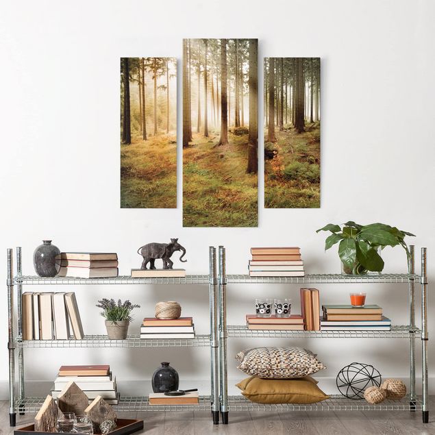 Leinwandbild 3-teilig - No.CA48 Morning Forest - Galerie Triptychon