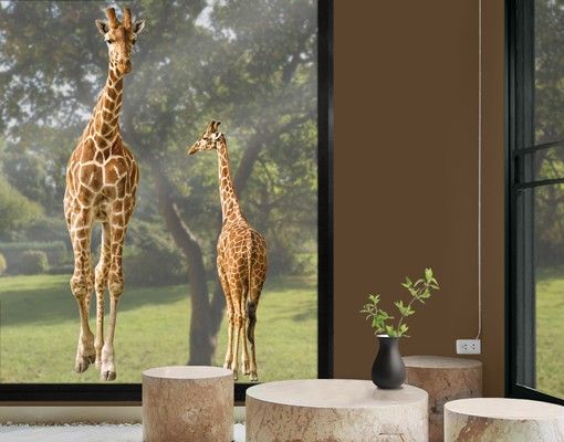 Fensterfolie - Fenstersticker No.315 Zwei Giraffen - Fensterbilder