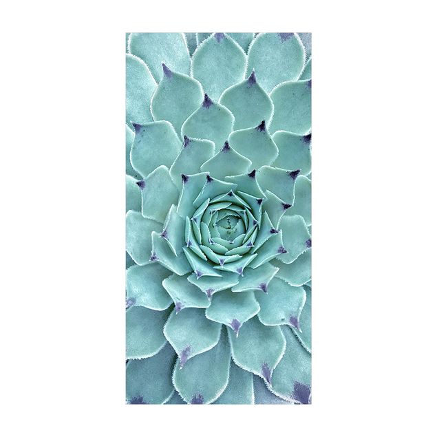 Türkiser Teppich Kaktus Agave