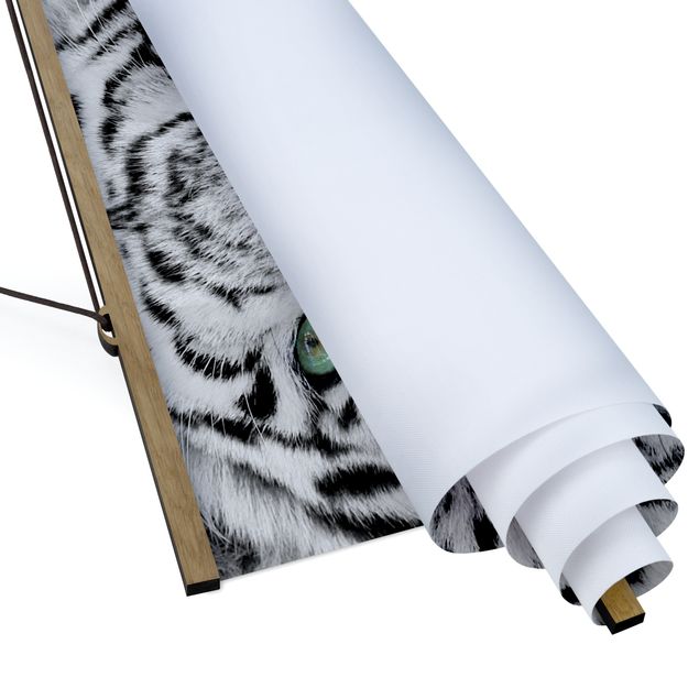 Stoffbild mit Posterleisten - Weißer Tiger - Quadrat 1:1