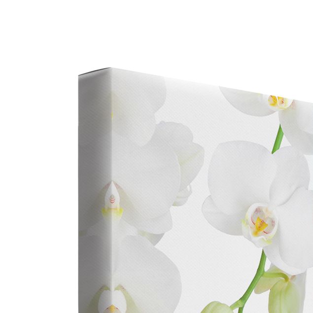 Leinwandbild 3-teilig - Orchideen auf Wasser - Quadrate 1:1