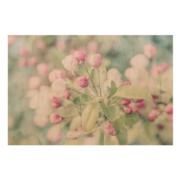 Holzbild - Apfelblüte Bokeh rosa - Querformat 2:3