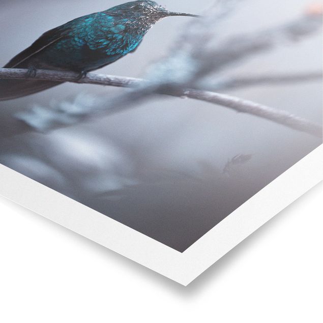 Poster - Kolibri im Winter - Quadrat 1:1
